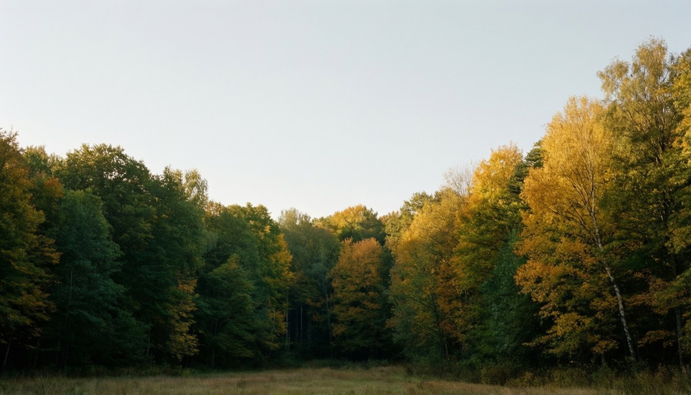 20 september