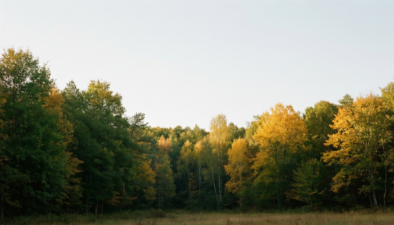 8 september