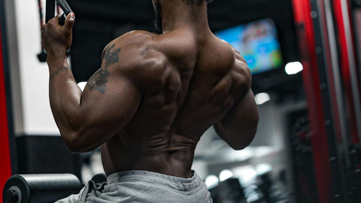 26 Fakta Om Trapezius