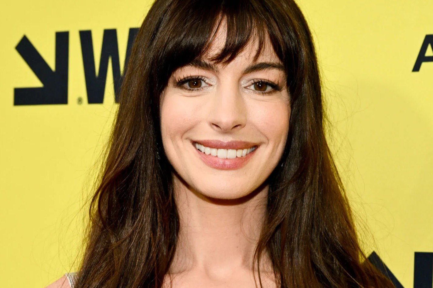 29 Fakta Om Anne Hathaway