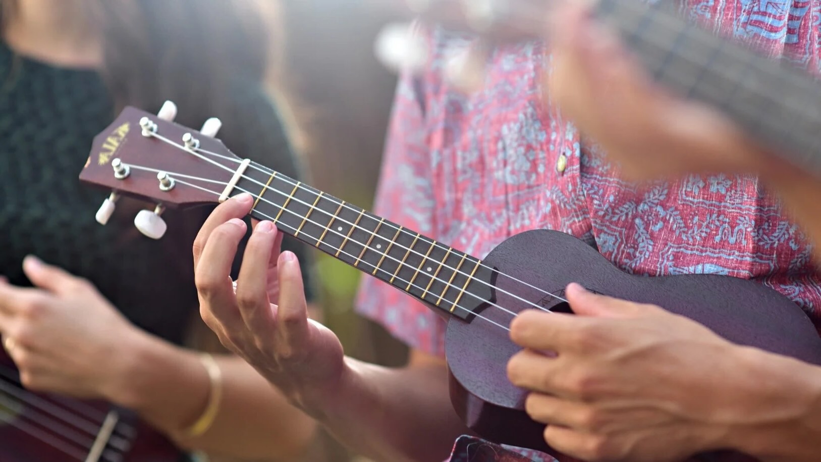 29 Fakta Om Ukulele