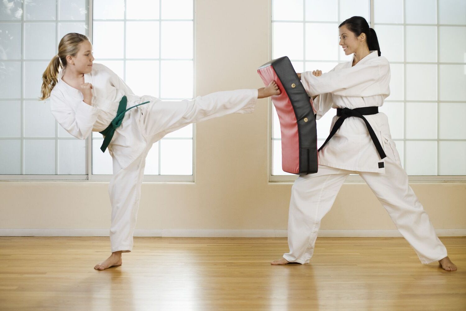 30 Fakta Om Karate