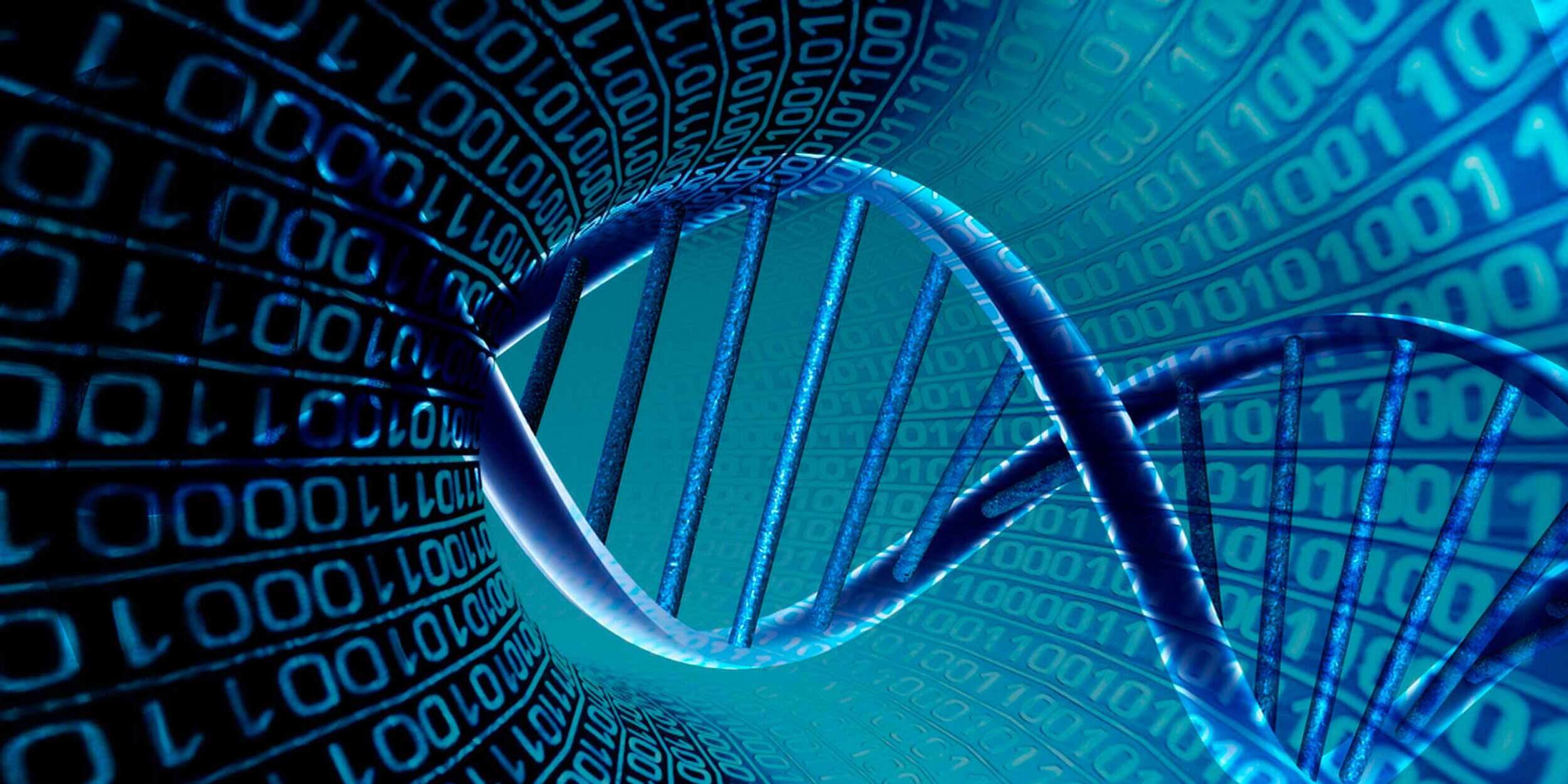 31 Fakta Om Bioinformatik