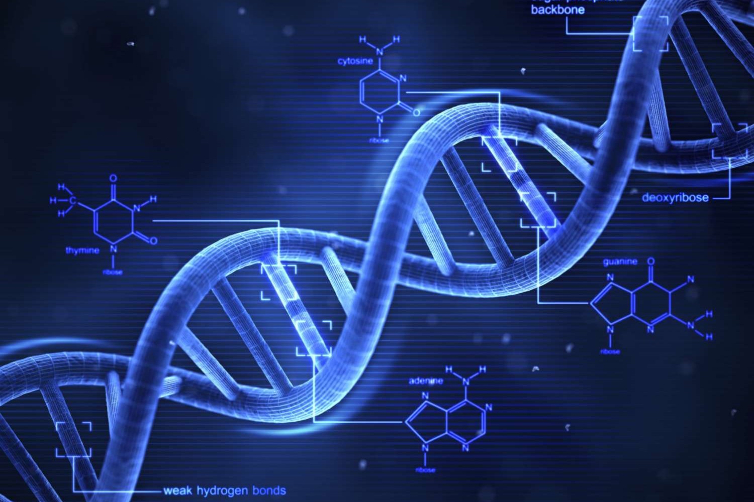 33 Fakta Om DNA