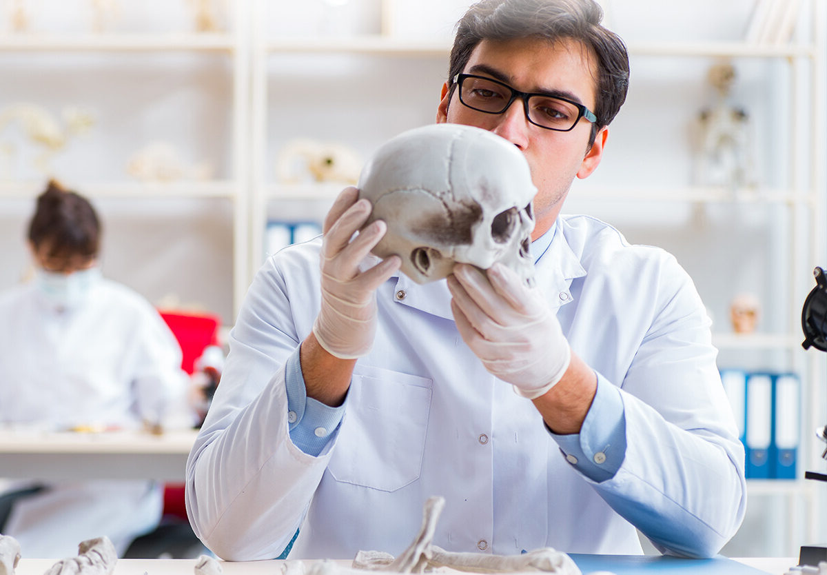 36 Fakta Om Antropologi
