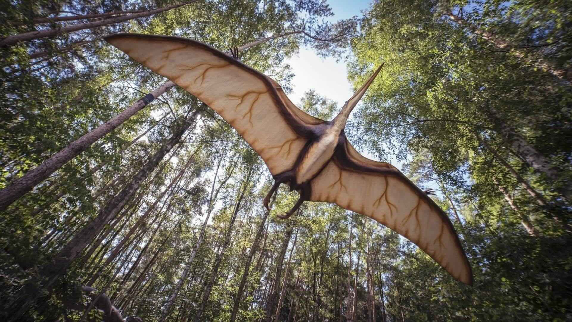 38 Fakta Om Pterodaktyl